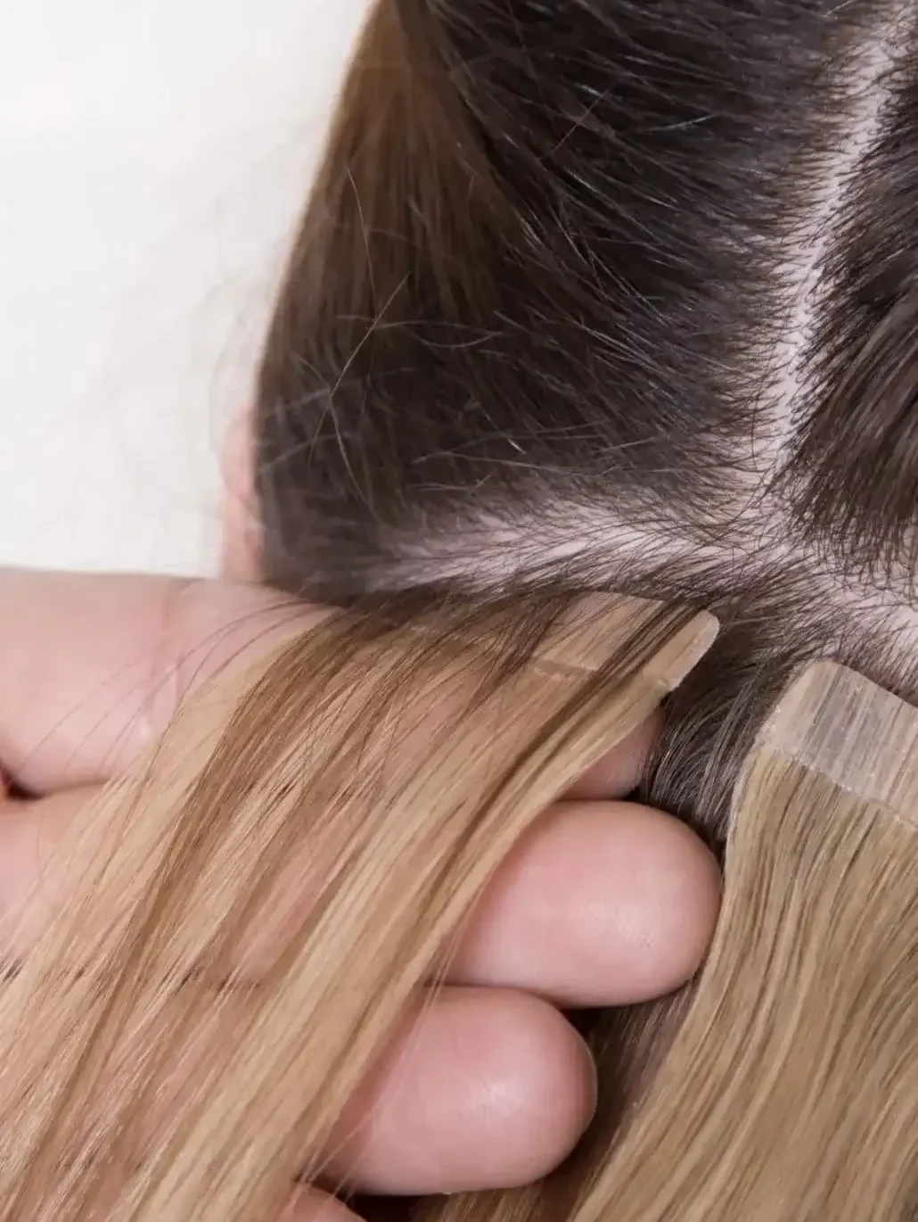 27a2982b-25ea-4e2c-a96d-5ea9ed612aef_eredmény